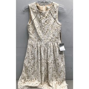 Eliza J. Women's Ivy Lace Dress size 2 Fit & Flare NWT Nordstrom's